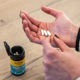 Meltonic Collagène Tonic – Articulations & Récupération | Nutri-Bay